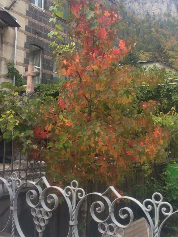 Old House Rustaveli Hotel Borjomi Exterior photo